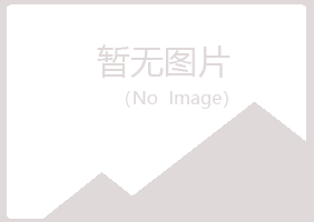 陕西夏岚冶炼有限公司